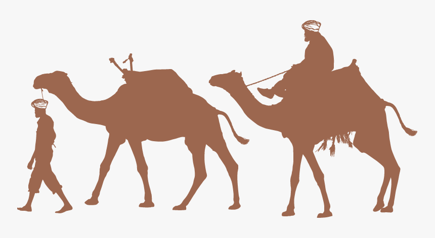 Detail Camel Vector Png Nomer 2