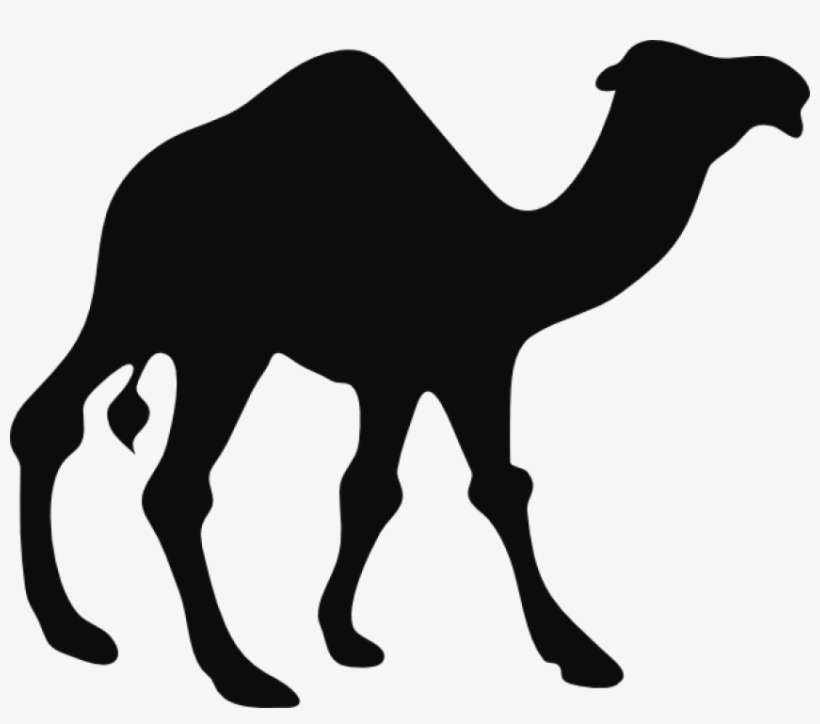 Detail Camel Vector Png Nomer 13