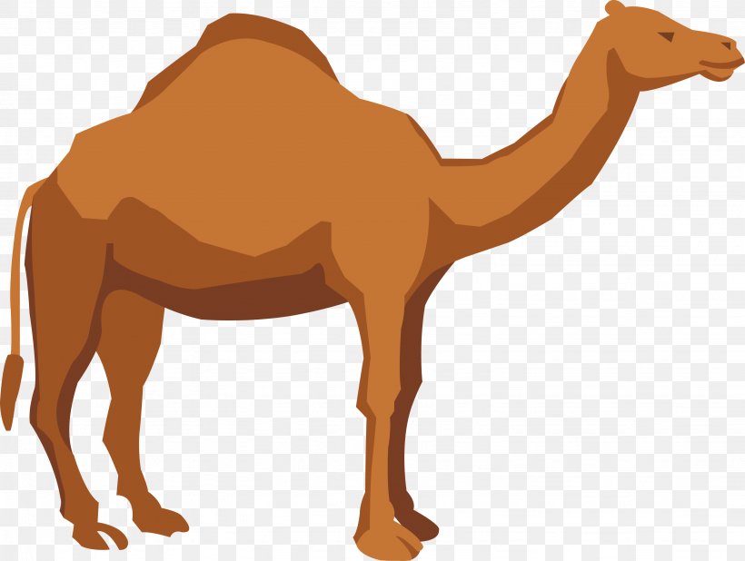 Detail Camel Vector Png Nomer 14