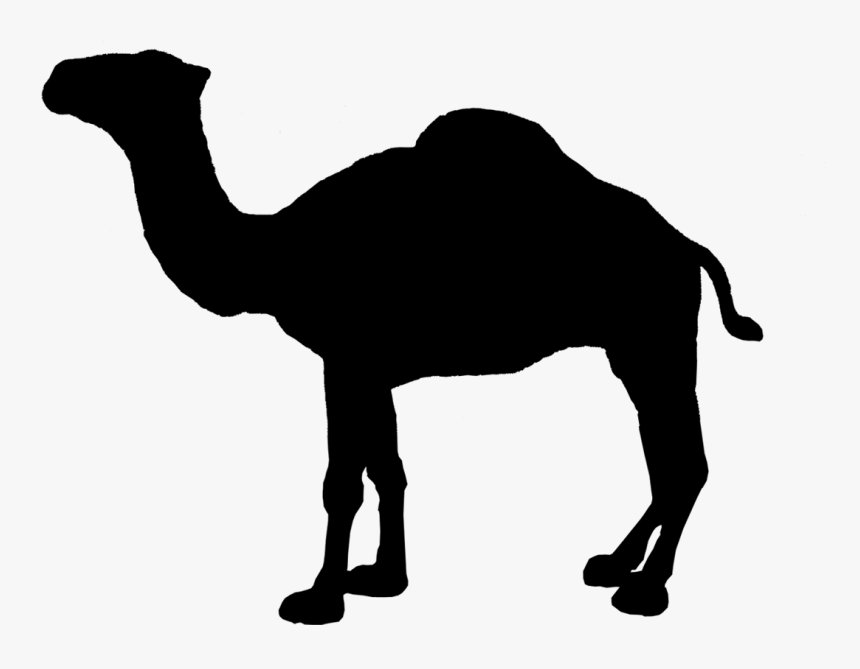 Detail Camel Vector Png Nomer 15