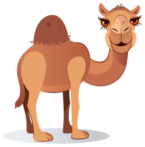 Detail Camel Vector Png Nomer 22