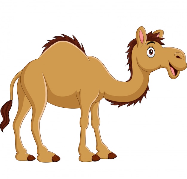 Detail Camel Vector Png Nomer 26