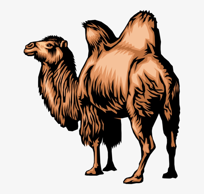 Detail Camel Vector Png Nomer 33