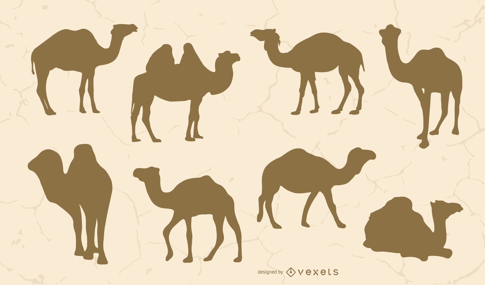 Detail Camel Vector Png Nomer 34