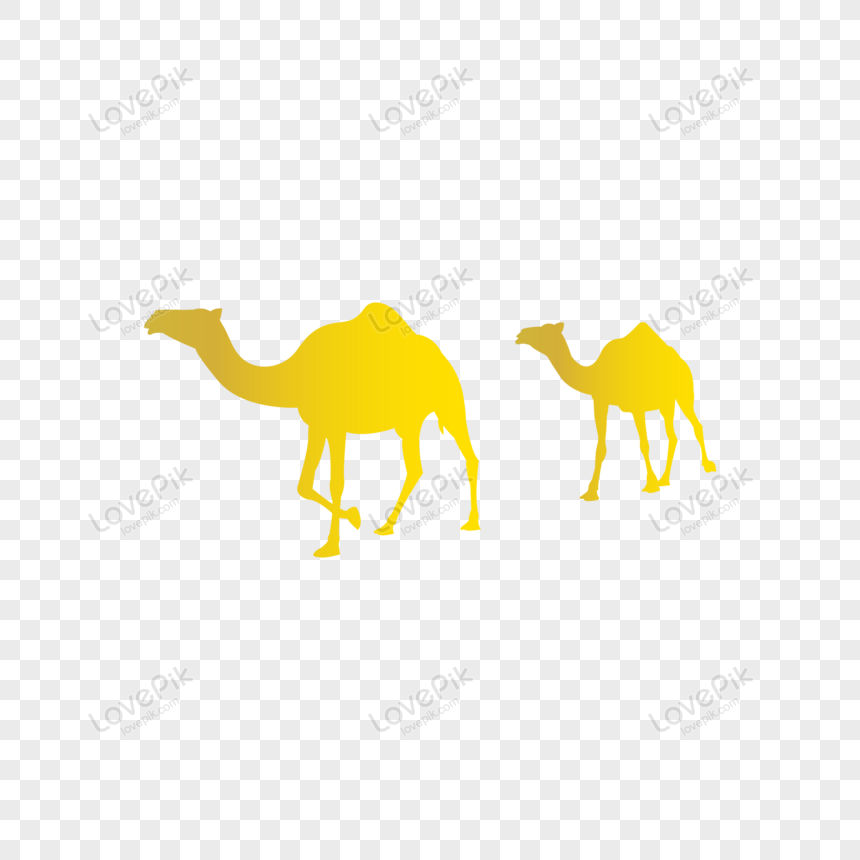 Detail Camel Vector Png Nomer 43