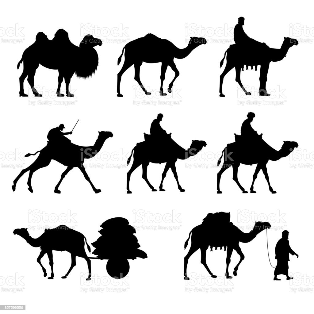 Detail Camel Vector Png Nomer 45