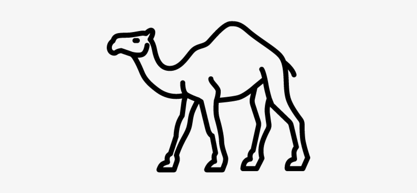 Detail Camel Vector Png Nomer 46