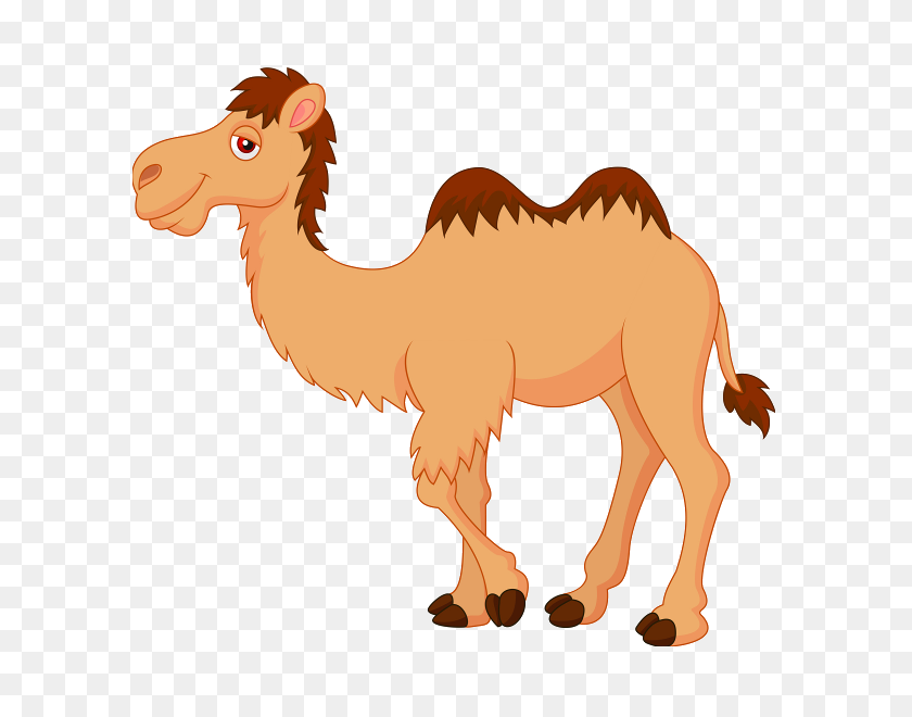 Detail Camel Vector Png Nomer 50