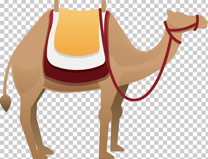 Detail Camel Vector Png Nomer 54