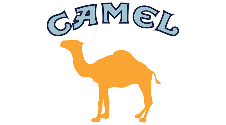 Detail Camel Vector Png Nomer 55