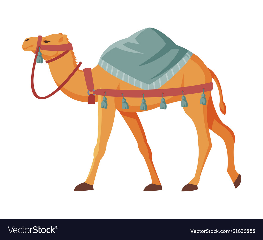 Detail Camel Vector Png Nomer 10