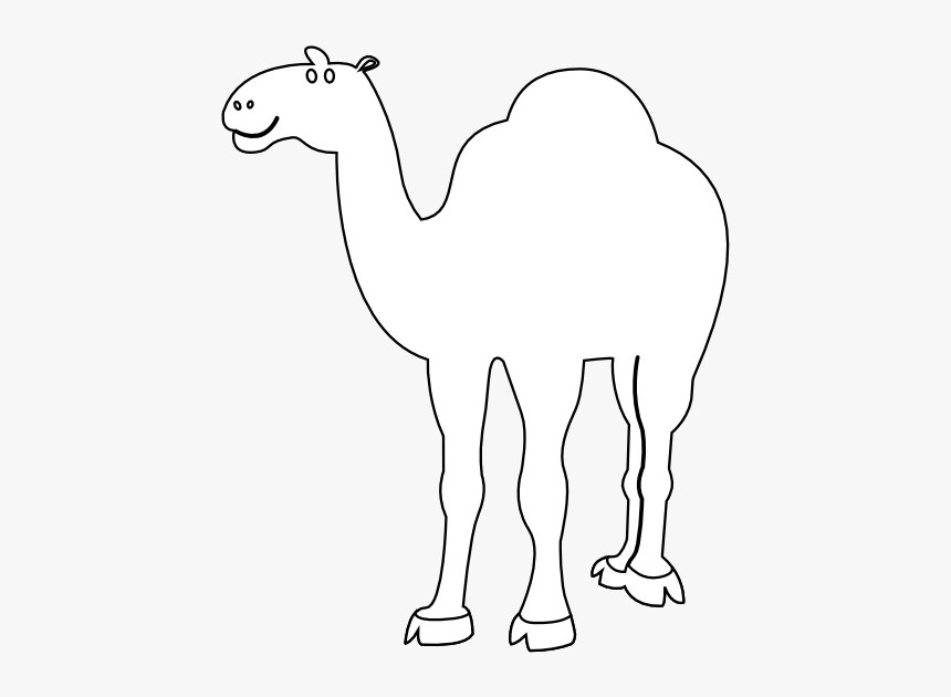 Detail Camel White Background Nomer 47