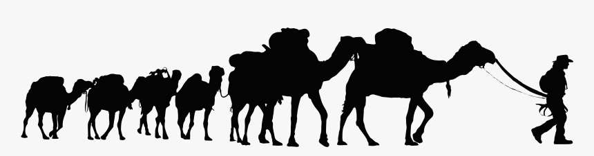 Detail Camels Png Nomer 19