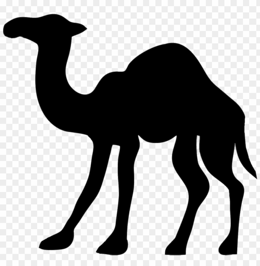 Detail Camels Png Nomer 34