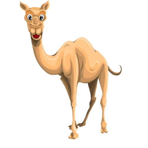 Detail Camels Png Nomer 53