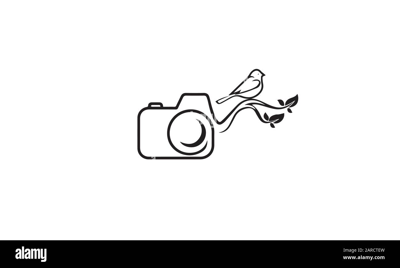 Detail Camera Logo Vector Nomer 13