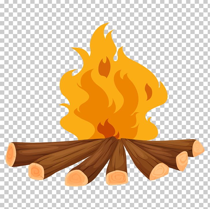 Detail Camp Fire Png Nomer 40