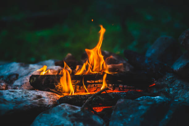 Detail Campfire Pics Free Nomer 8