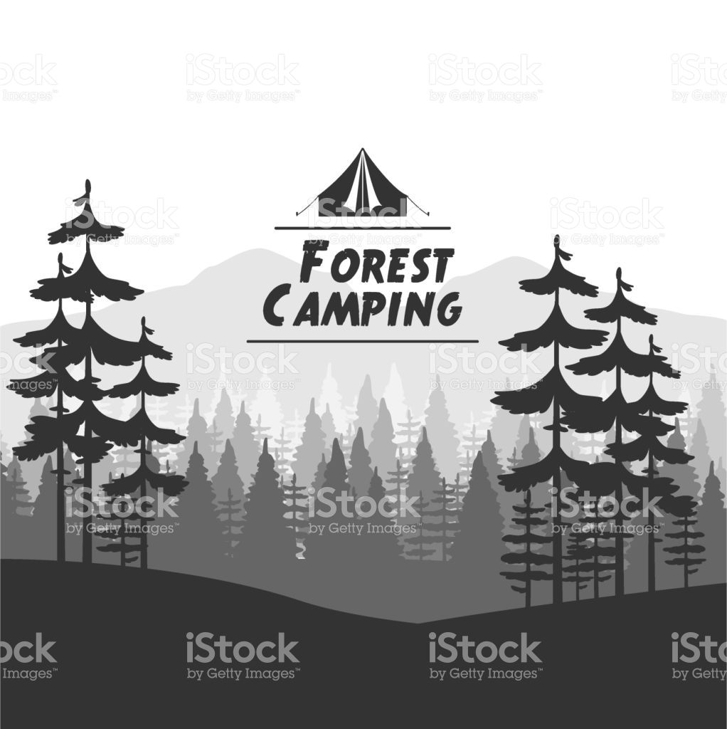 Detail Camping Background Vector Nomer 33