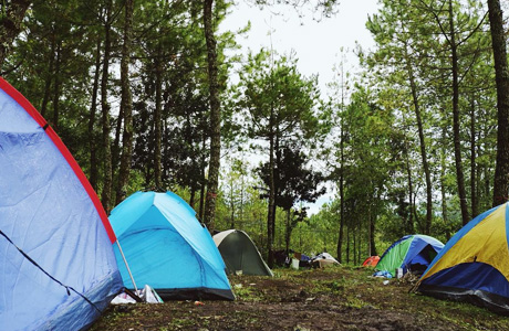 Detail Camping Ground Rumah Bambu Kabupaten Bandung Barat Jawa Barat Nomer 20