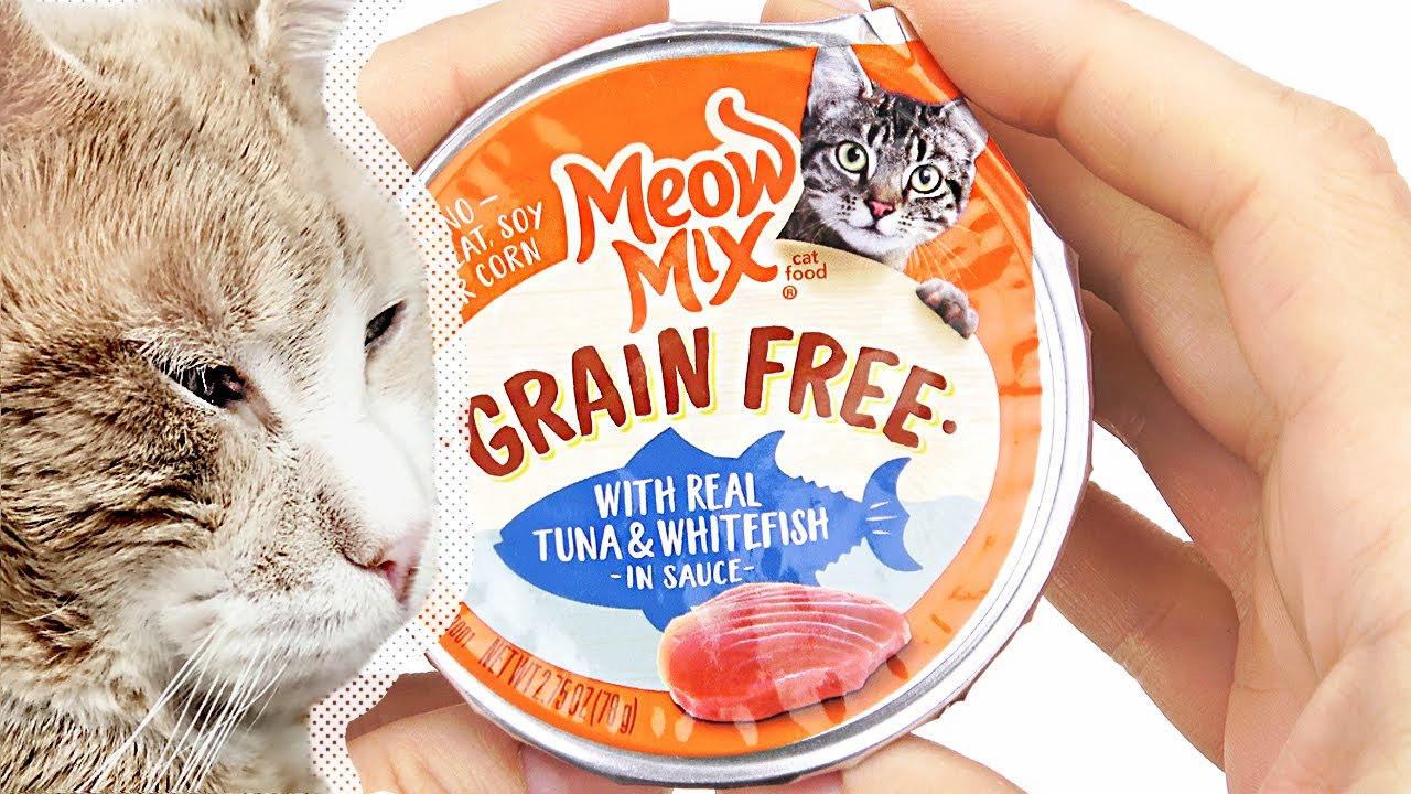 Detail Can Cats Have Peach Yogurt Nomer 57