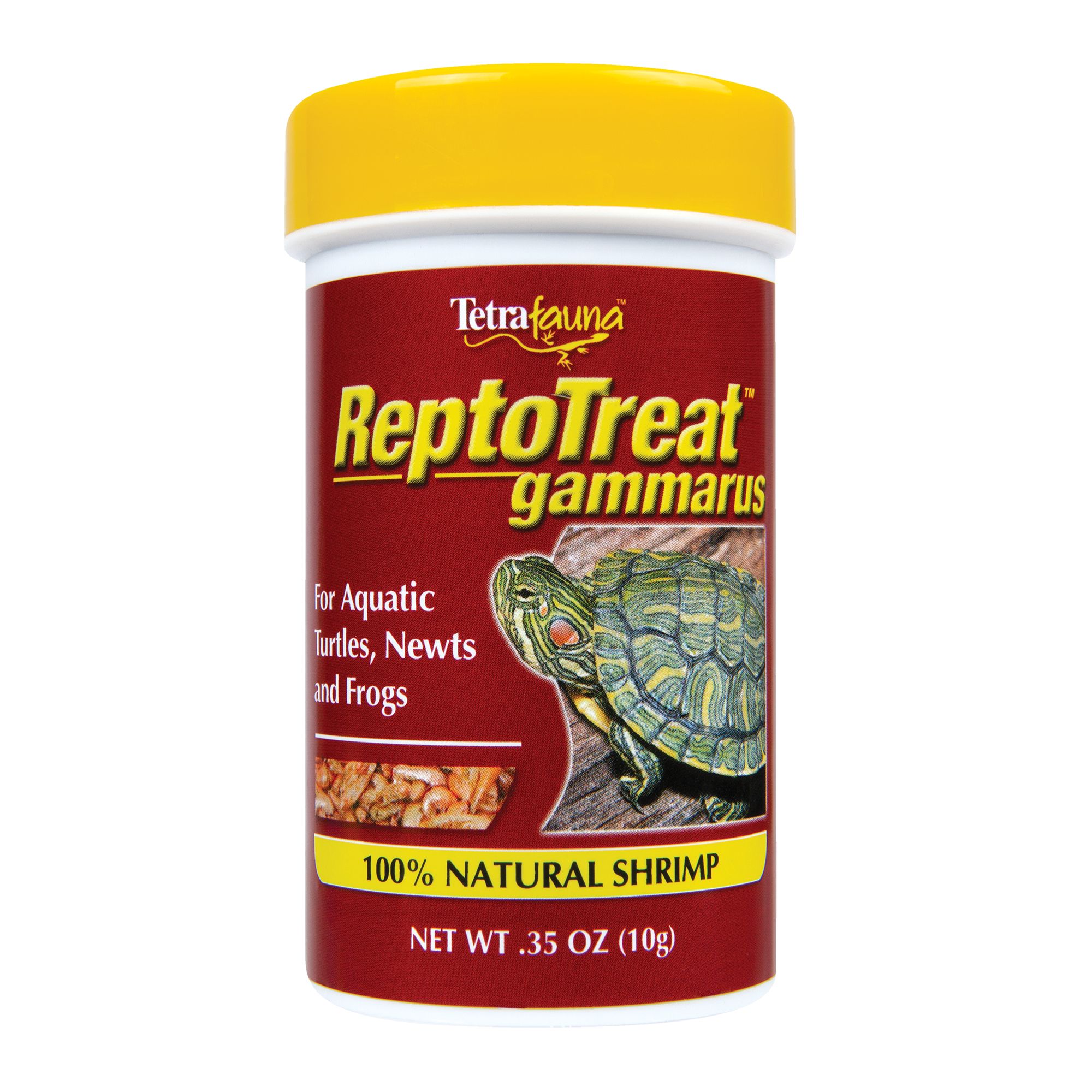 Detail Can Red Eared Slider Turtles Eat Watermelon Nomer 36