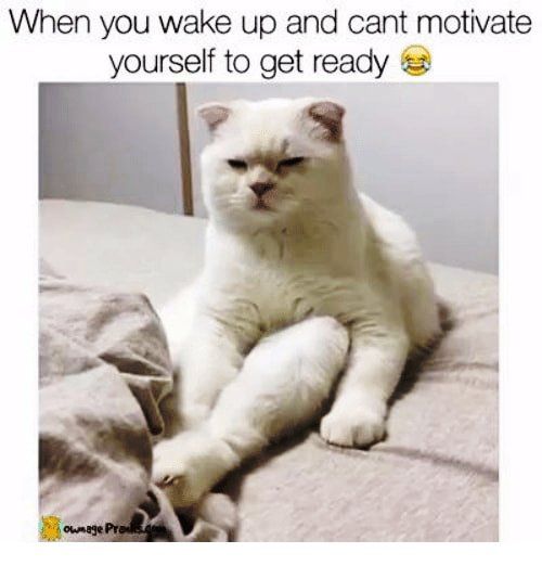 Detail Can T Wake Up Meme Nomer 5