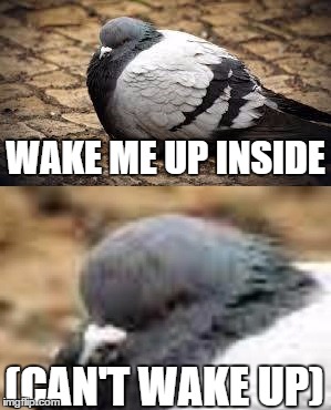 Detail Can T Wake Up Meme Nomer 40