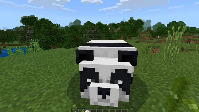 Detail Can You Leash A Panda In Minecraft Nomer 11