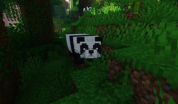 Detail Can You Leash A Panda In Minecraft Nomer 12