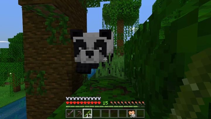 Detail Can You Leash A Panda In Minecraft Nomer 16