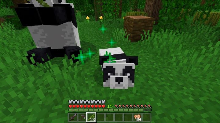 Detail Can You Leash A Panda In Minecraft Nomer 17