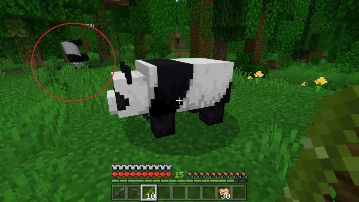 Detail Can You Leash A Panda In Minecraft Nomer 20