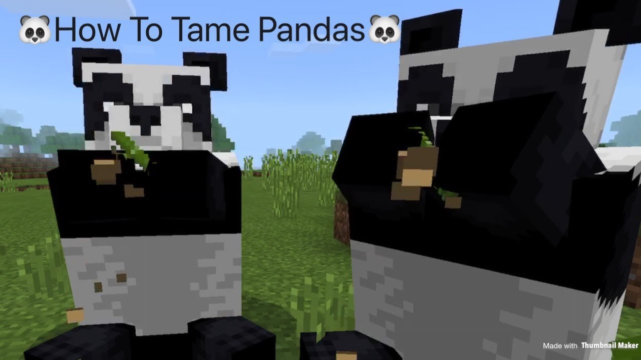 Detail Can You Leash A Panda In Minecraft Nomer 4