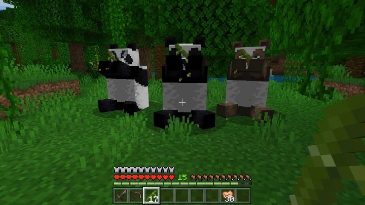 Detail Can You Leash A Panda In Minecraft Nomer 31