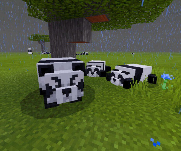 Detail Can You Leash A Panda In Minecraft Nomer 36