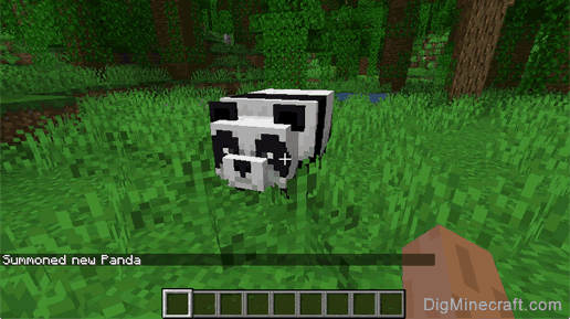 Detail Can You Leash A Panda In Minecraft Nomer 48