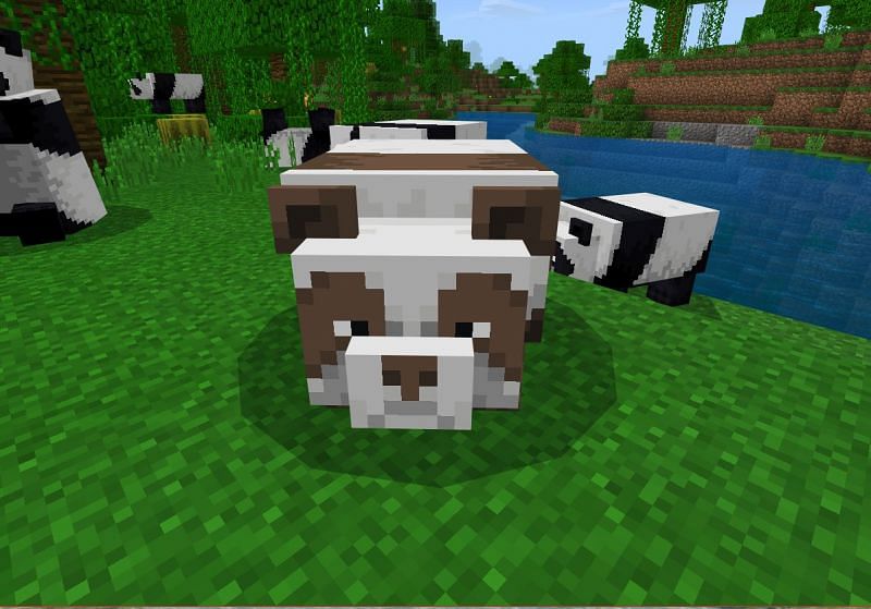 Detail Can You Leash A Panda In Minecraft Nomer 8