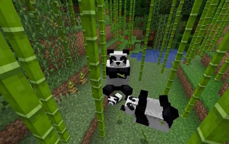 Detail Can You Leash A Panda In Minecraft Nomer 9