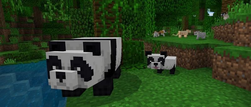 Detail Can You Leash A Panda In Minecraft Nomer 10