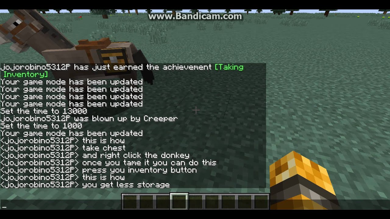Detail Can You Put A Chest On A Donkey In Minecraft Nomer 17