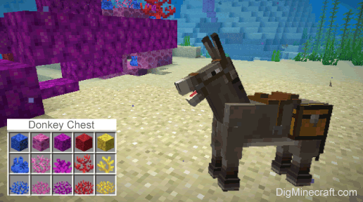 Detail Can You Put A Chest On A Donkey In Minecraft Nomer 18