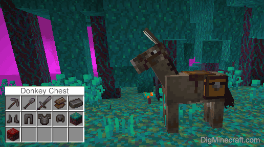 Detail Can You Put A Chest On A Donkey In Minecraft Nomer 19