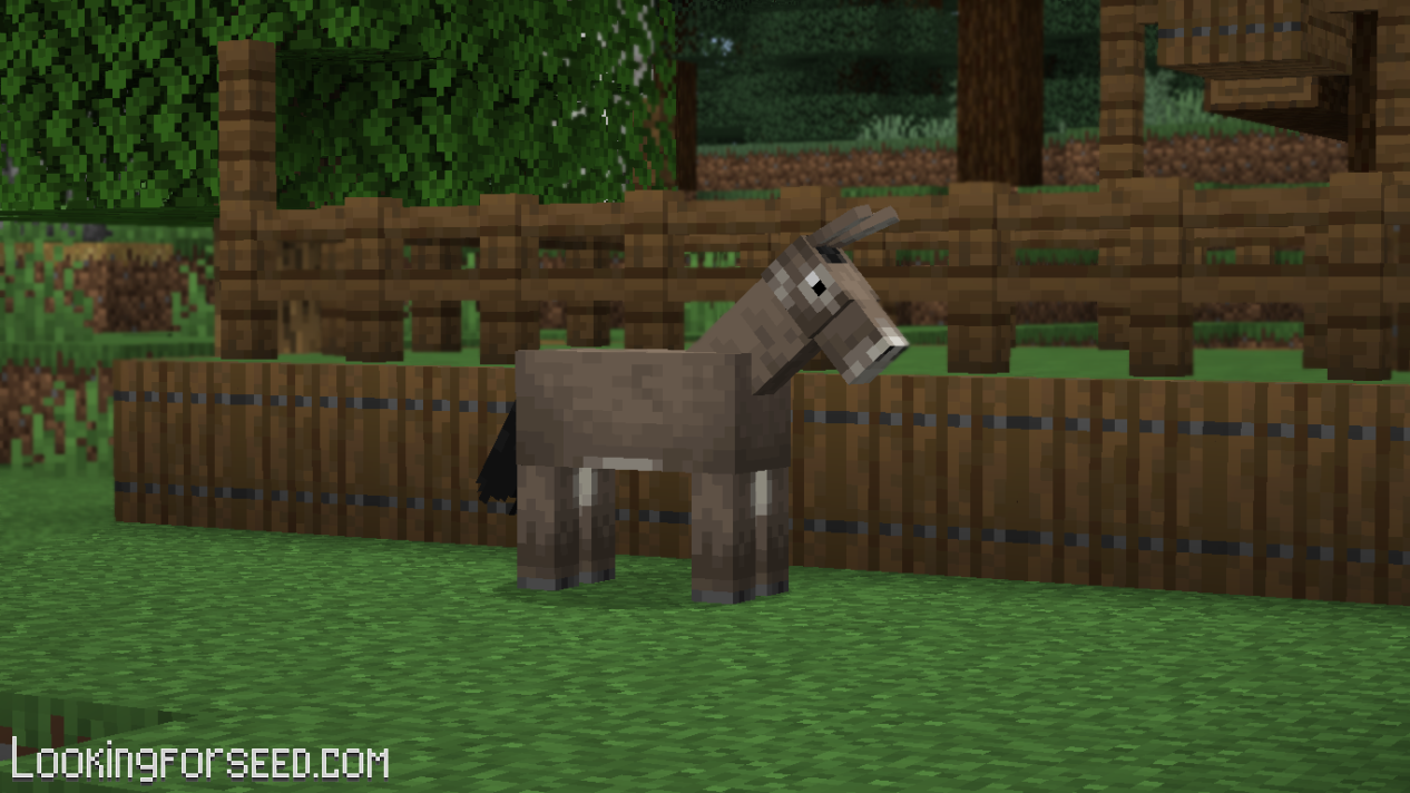 Detail Can You Put A Chest On A Donkey In Minecraft Nomer 29