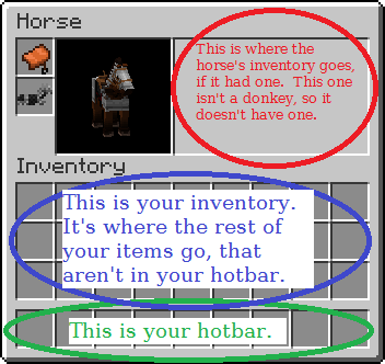 Detail Can You Put A Chest On A Donkey In Minecraft Nomer 31