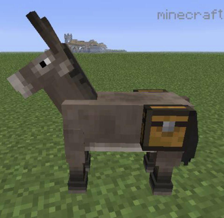 Detail Can You Put A Chest On A Donkey In Minecraft Nomer 5