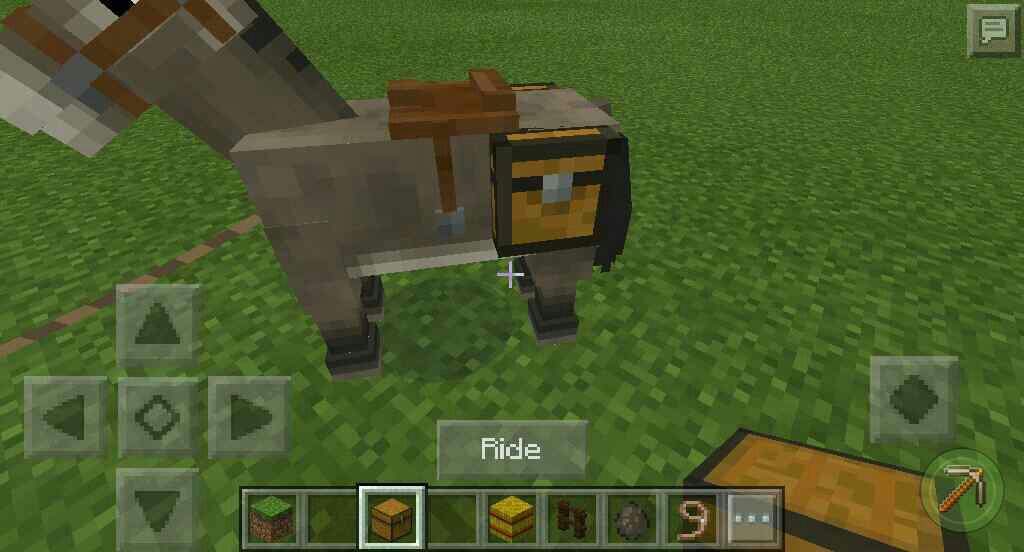 Detail Can You Put A Chest On A Donkey In Minecraft Nomer 40