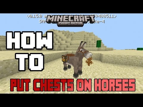 Detail Can You Put A Chest On A Donkey In Minecraft Nomer 44