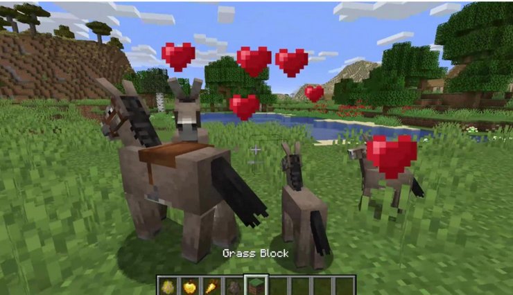 Detail Can You Put A Chest On A Donkey In Minecraft Nomer 46