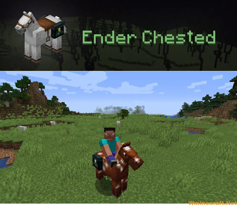 Detail Can You Put A Chest On A Donkey In Minecraft Nomer 47